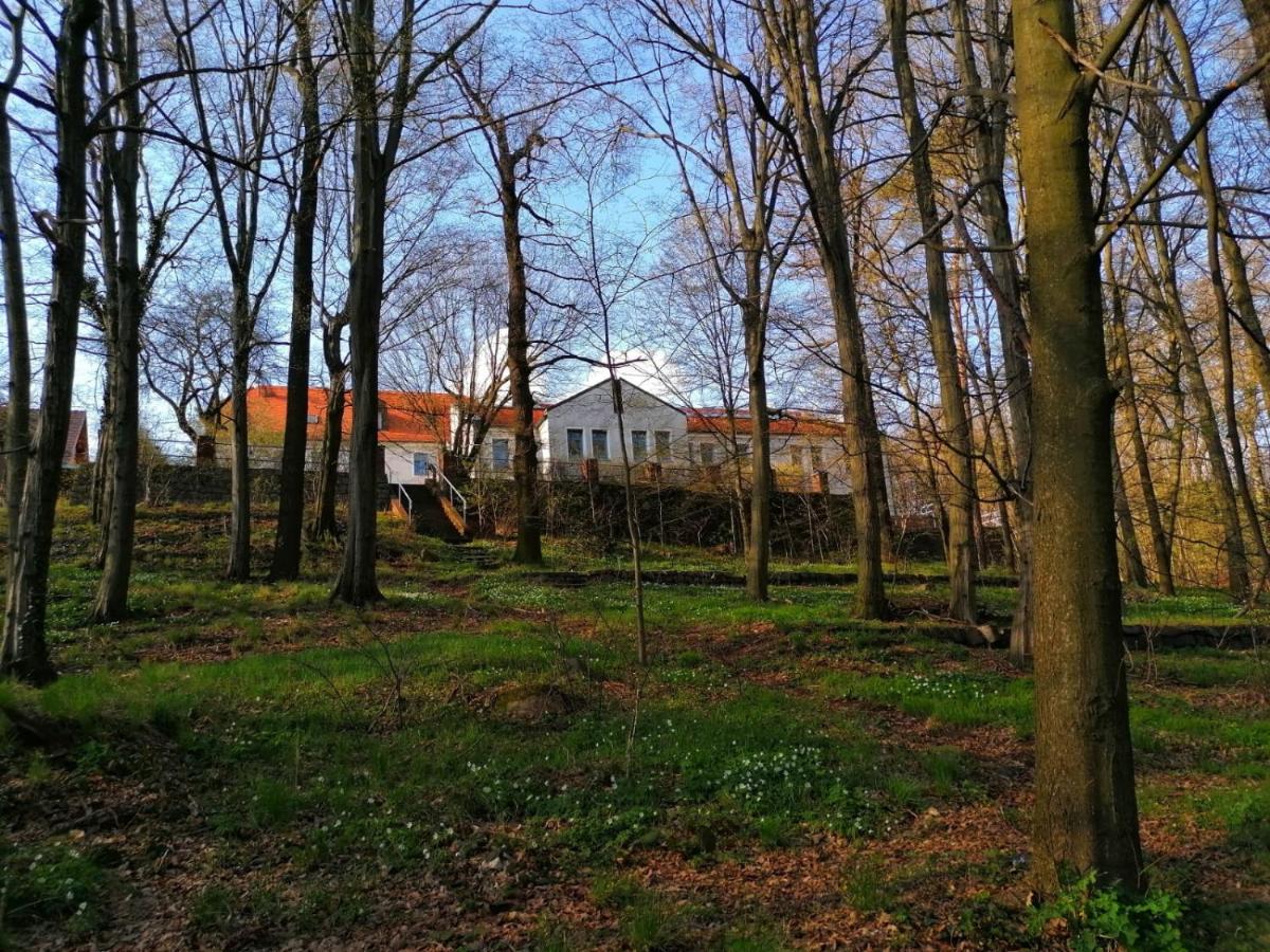 Hotel Kreuzbergbaude Beim Berzdorfer See Mit Wohlfuehl Sauna Markersdorf Bagian luar foto